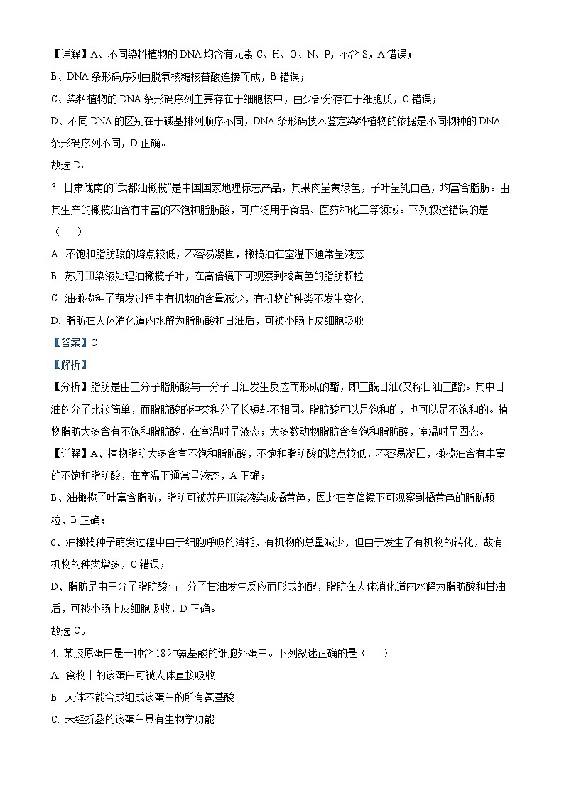 四川省自贡市贡井区旭川中学2024-2025学年高三上学期11月期中考试生物试题 Word版含解析第2页