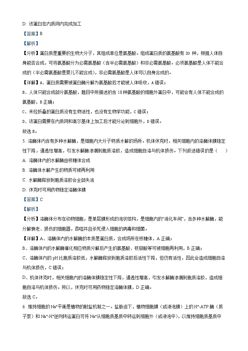 四川省自贡市贡井区旭川中学2024-2025学年高三上学期11月期中考试生物试题 Word版含解析第3页