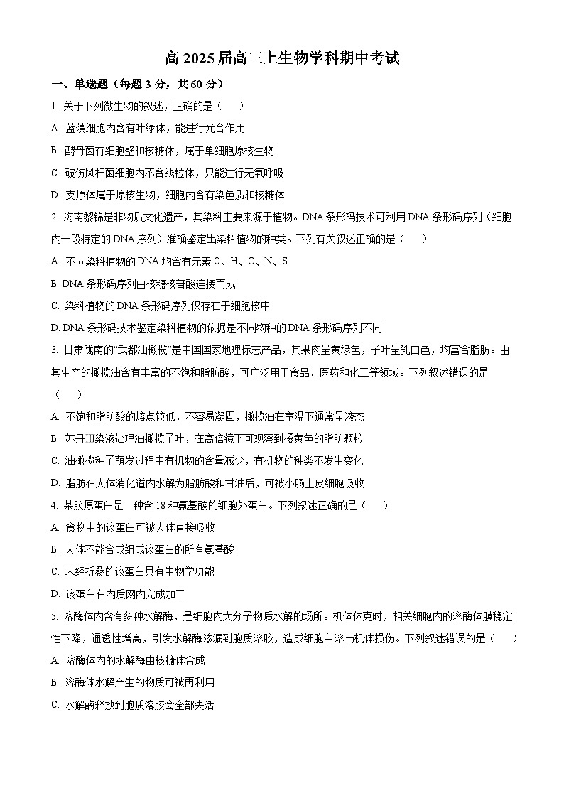 四川省自贡市贡井区旭川中学2024-2025学年高三上学期11月期中考试生物试题 Word版无答案第1页