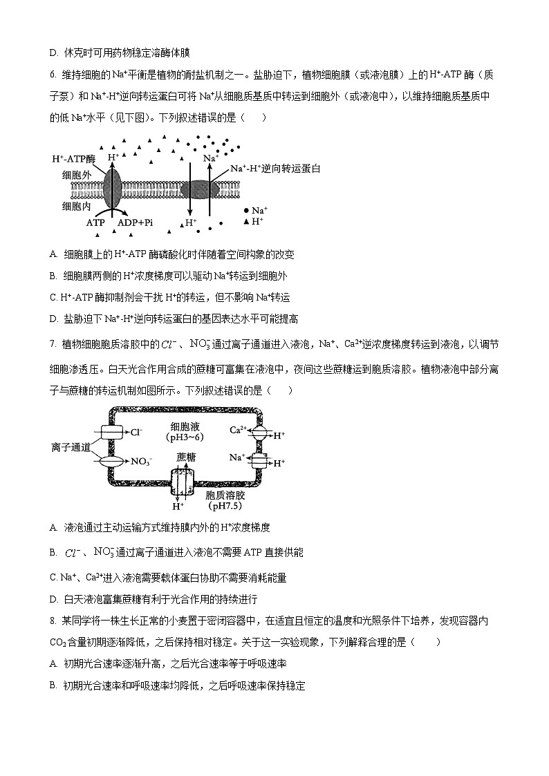 四川省自贡市贡井区旭川中学2024-2025学年高三上学期11月期中考试生物试题 Word版无答案第2页