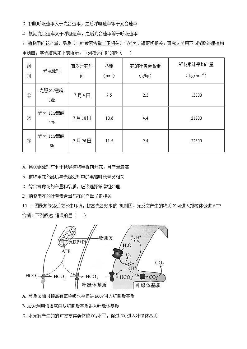 四川省自贡市贡井区旭川中学2024-2025学年高三上学期11月期中考试生物试题 Word版无答案第3页