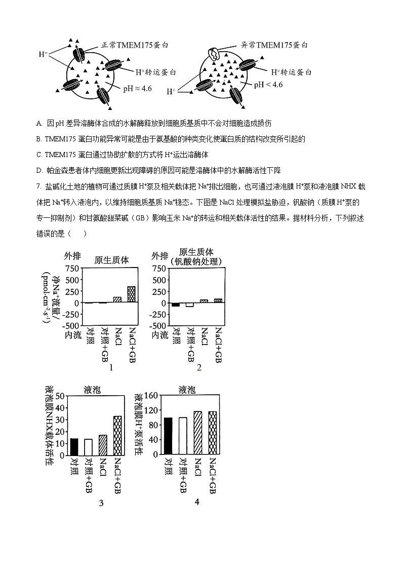 2025届重庆市高南开中学高三第三次质量检测生物试卷 Word版无答案第3页