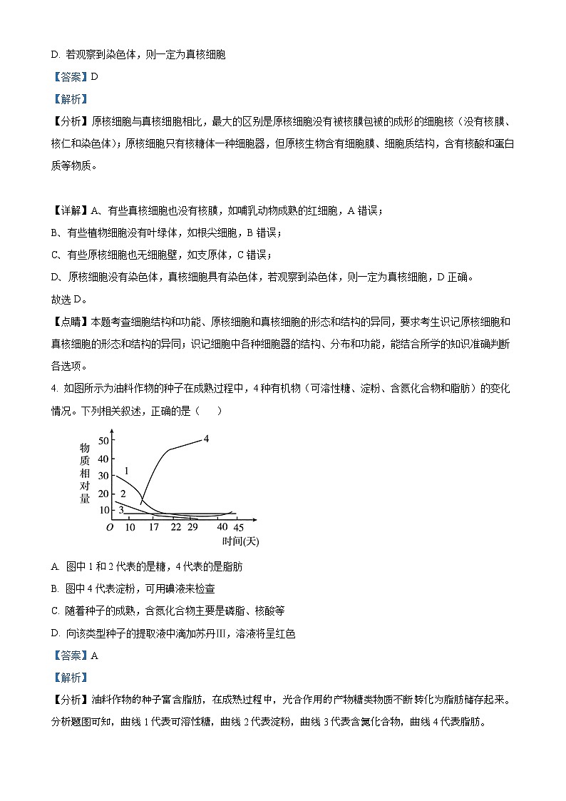 重庆市长寿区长寿中学校2024-2025学年高一上学期11月期中生物试题 Word版含解析第3页