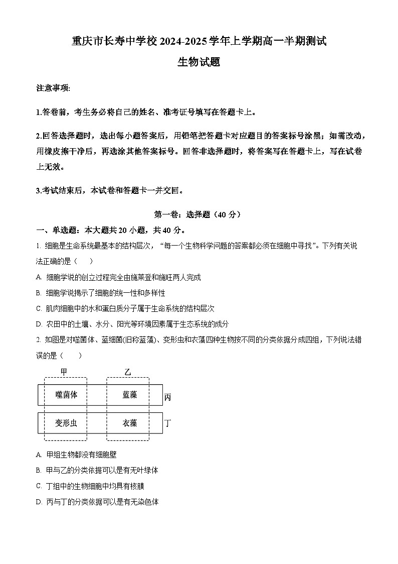 重庆市长寿区长寿中学校2024-2025学年高一上学期11月期中生物试题 Word版无答案第1页