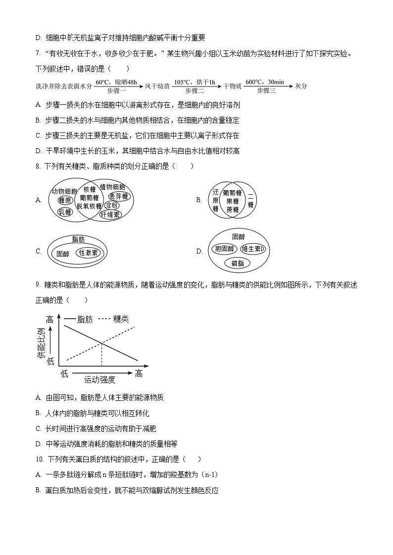 重庆市长寿区长寿中学校2024-2025学年高一上学期11月期中生物试题 Word版无答案第3页