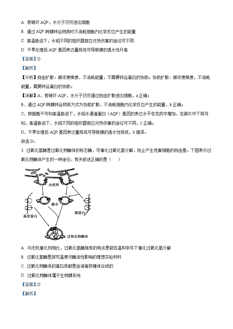 精品解析:江西省宜春市丰城市丰城中学2024-2025学年高三上学期期中考试生物试题(创新班)(解析版)第2页