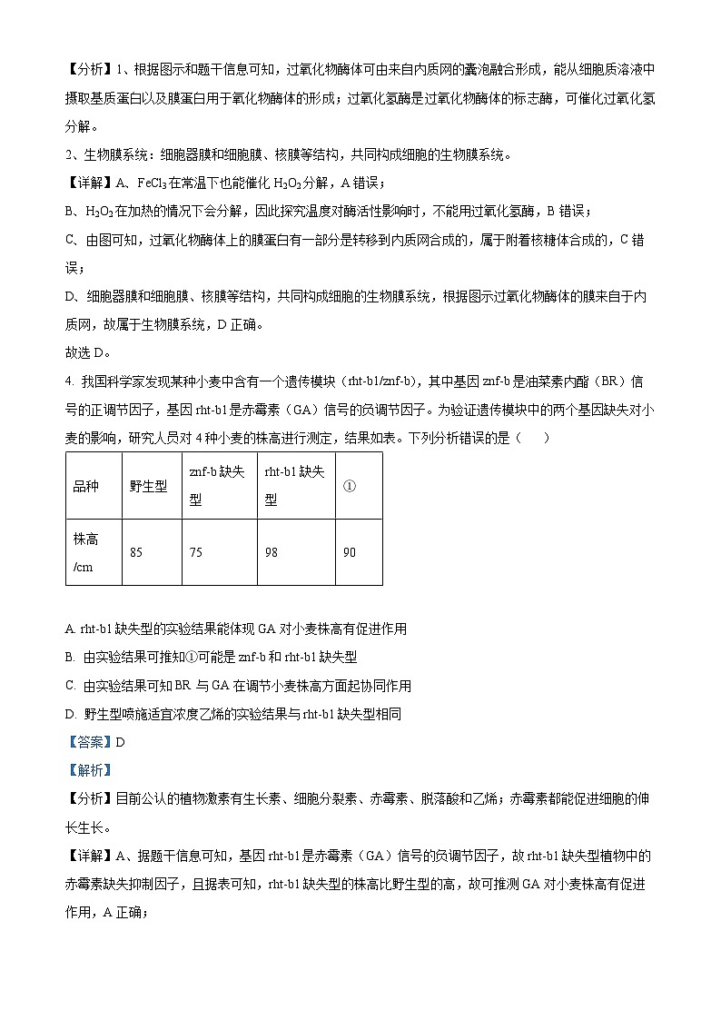精品解析:江西省宜春市丰城市丰城中学2024-2025学年高三上学期期中考试生物试题(创新班)(解析版)第3页