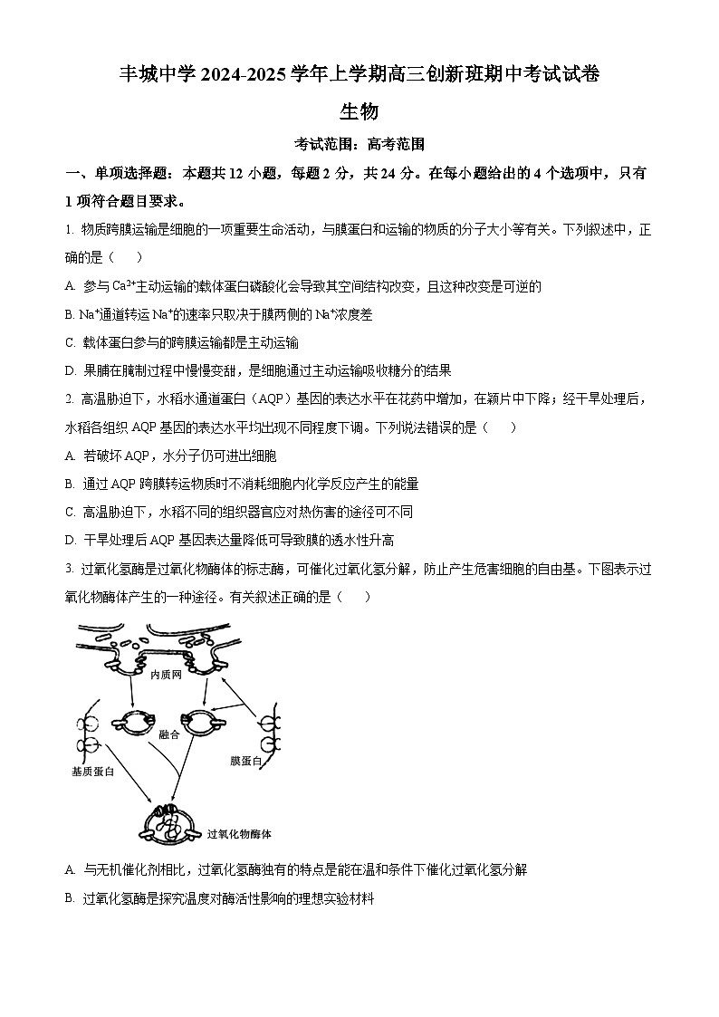 精品解析:江西省宜春市丰城市丰城中学2024-2025学年高三上学期期中考试生物试题(创新班)(原卷版)第1页