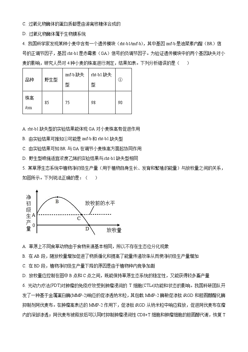 精品解析:江西省宜春市丰城市丰城中学2024-2025学年高三上学期期中考试生物试题(创新班)(原卷版)第2页