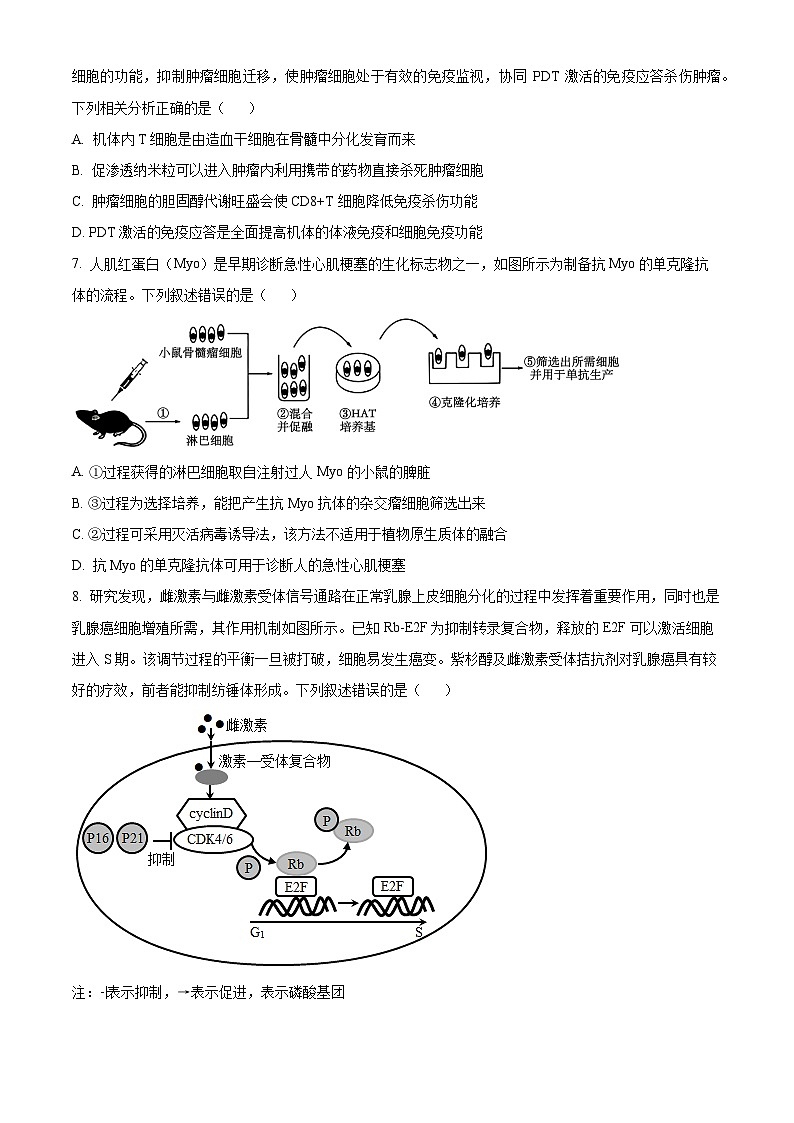 精品解析:江西省宜春市丰城市丰城中学2024-2025学年高三上学期期中考试生物试题(创新班)(原卷版)第3页