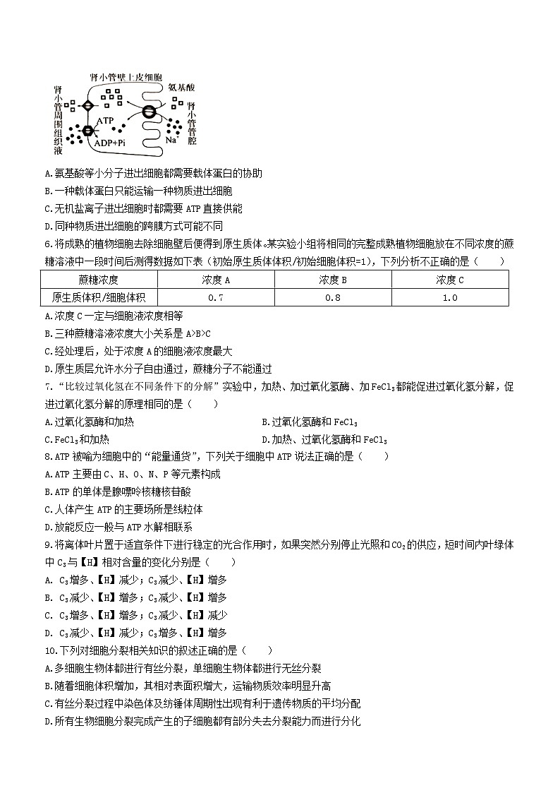四川省雅安市2023_2024学年高三生物上学期零诊考试无答案第2页