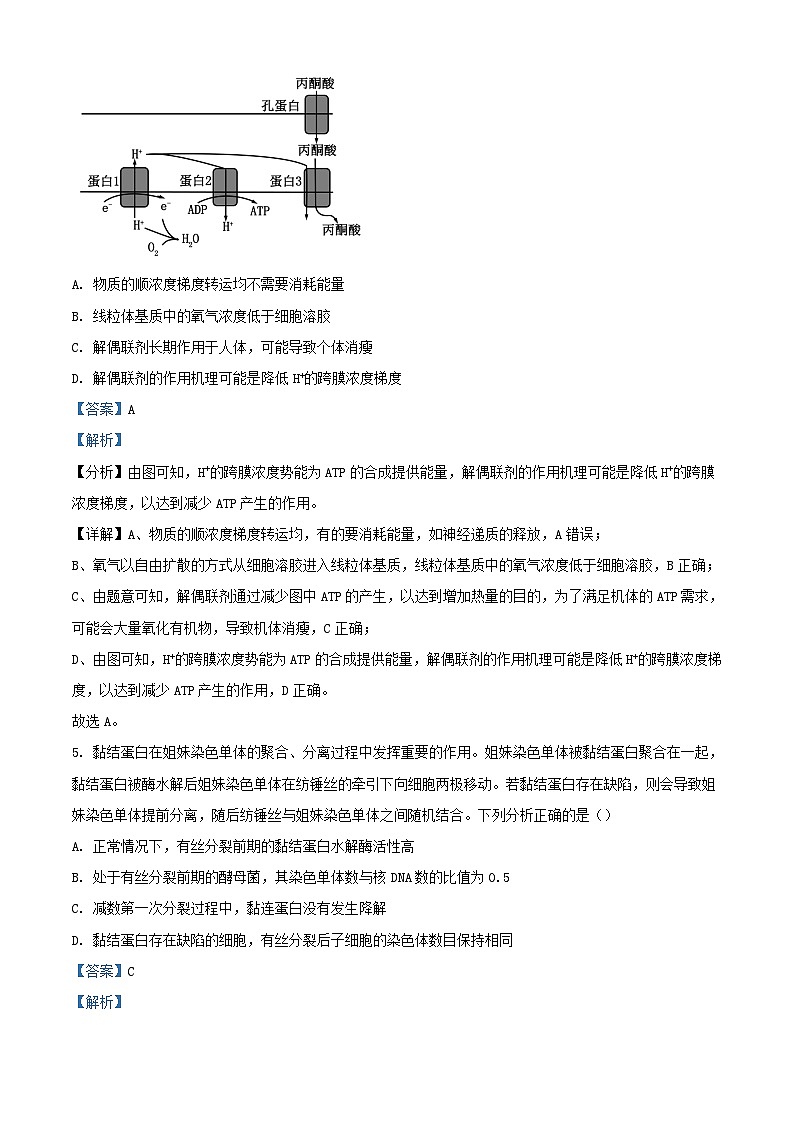 浙江省金华市2023_2024学年高三生物上学期12月月考试题含解析第3页
