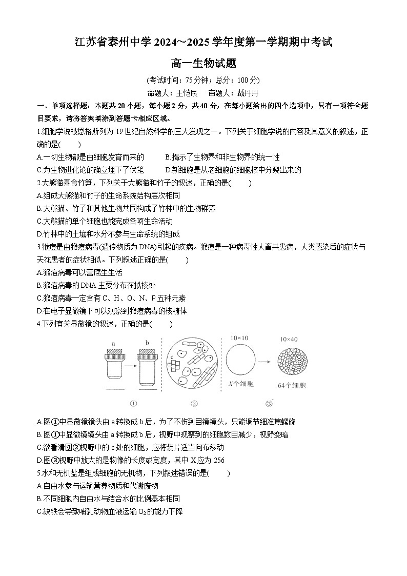 江苏省泰州市海陵区江苏省泰州中学2024-2025学年高一上学期11月期中生物试题第1页