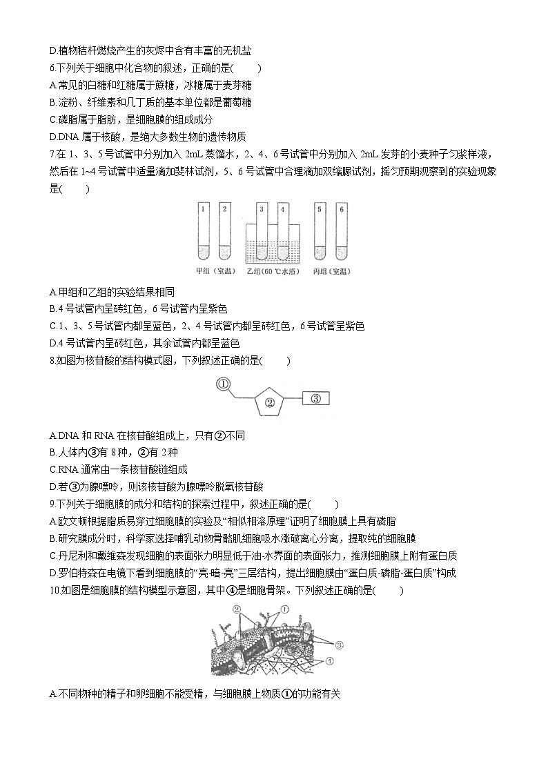 江苏省泰州市海陵区江苏省泰州中学2024-2025学年高一上学期11月期中生物试题第2页