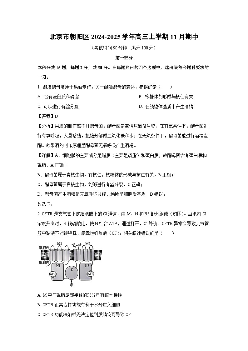 北京市朝阳区2024-2025学年高三上学期11月期中生物试卷(解析版)第1页