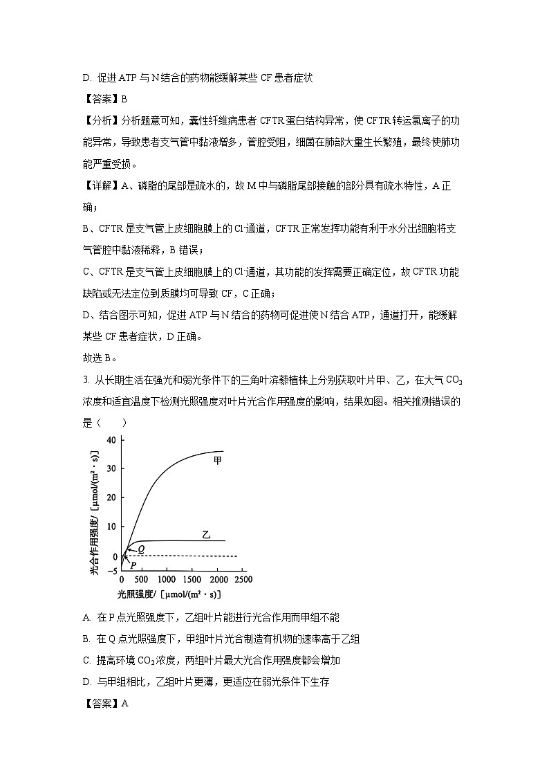北京市朝阳区2024-2025学年高三上学期11月期中生物试卷(解析版)第2页