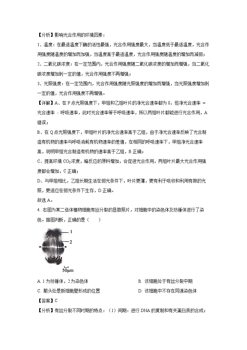 北京市朝阳区2024-2025学年高三上学期11月期中生物试卷(解析版)第3页