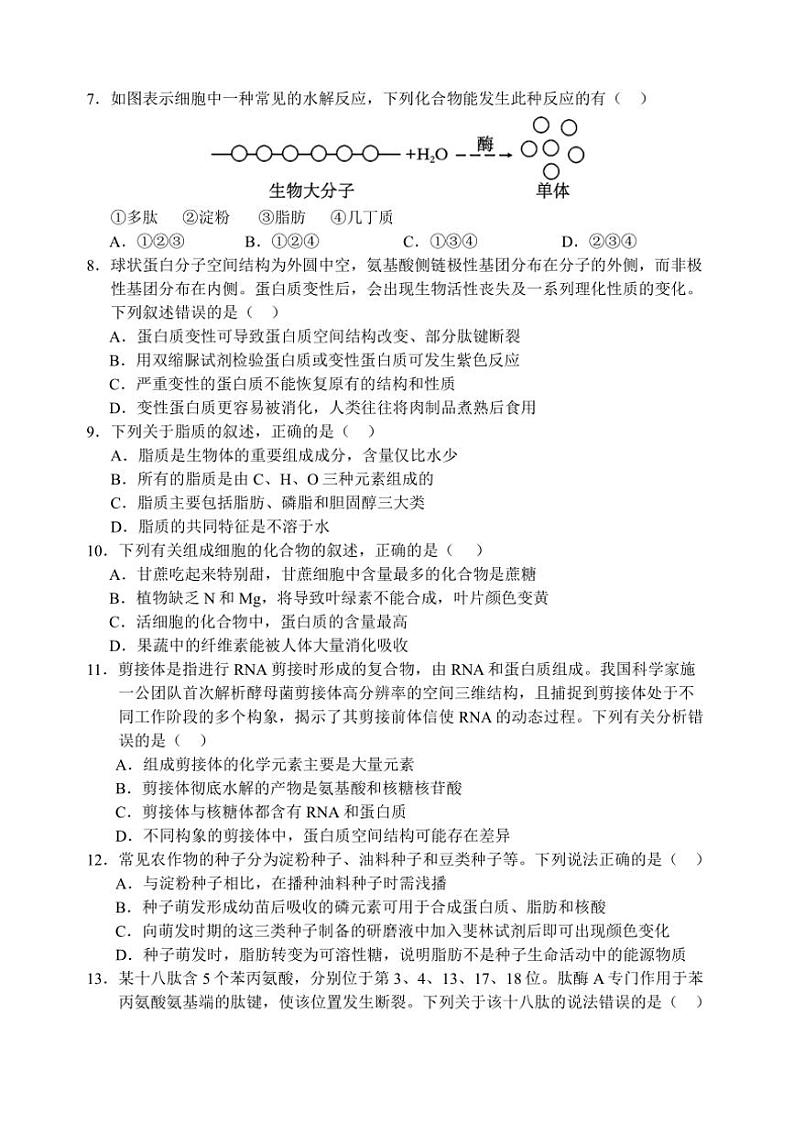 江苏省扬州中学2024~2025学年高一(上)期中生物试卷(含答案)第2页
