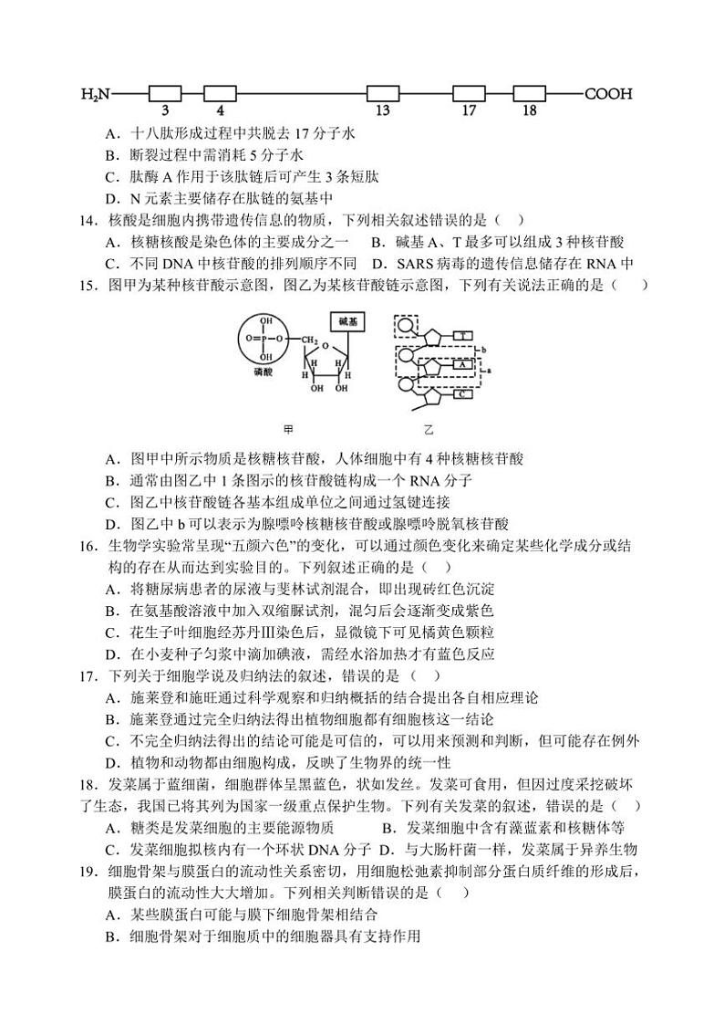 江苏省扬州中学2024~2025学年高一(上)期中生物试卷(含答案)第3页