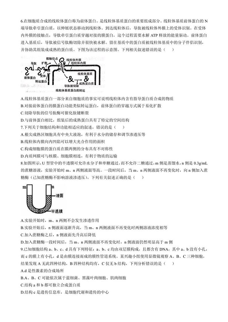辽宁省沈阳市郊联体2024~2025学年高一(上)期中生物试卷(含答案)第2页