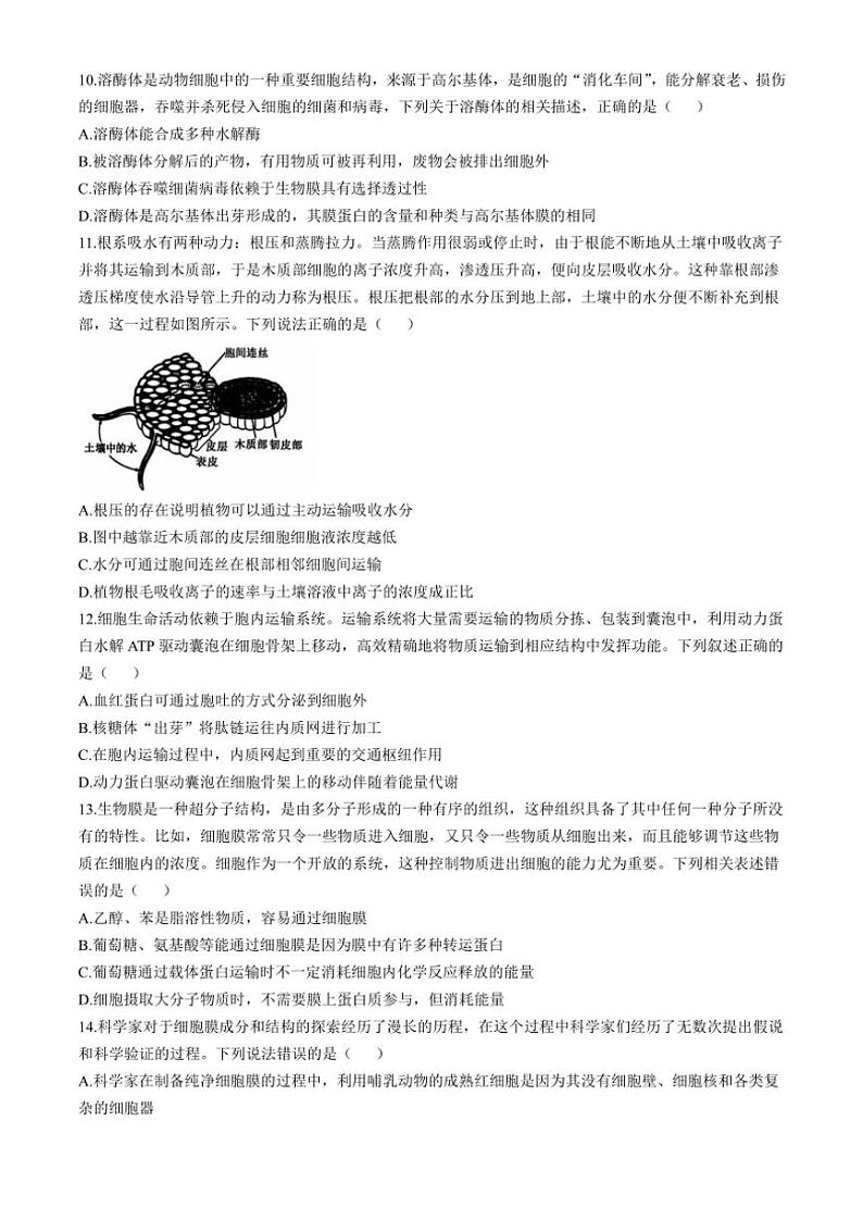 辽宁省沈阳市郊联体2024~2025学年高一(上)期中生物试卷(含答案)第3页