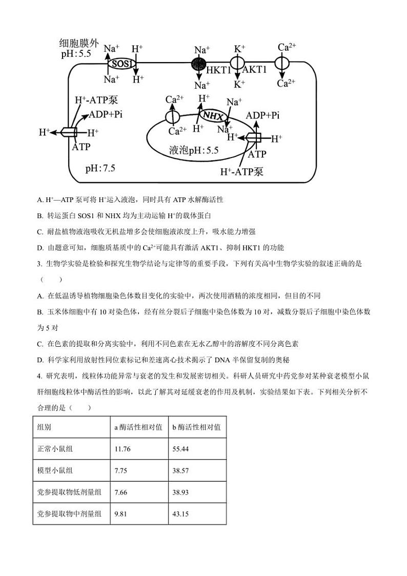 山东省枣庄市滕州市2025届高三(上)11月定时训练(期中)考试生物试卷(含答案)第2页