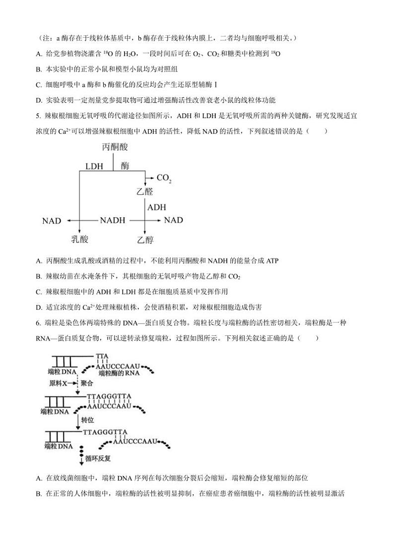 山东省枣庄市滕州市2025届高三(上)11月定时训练(期中)考试生物试卷(含答案)第3页