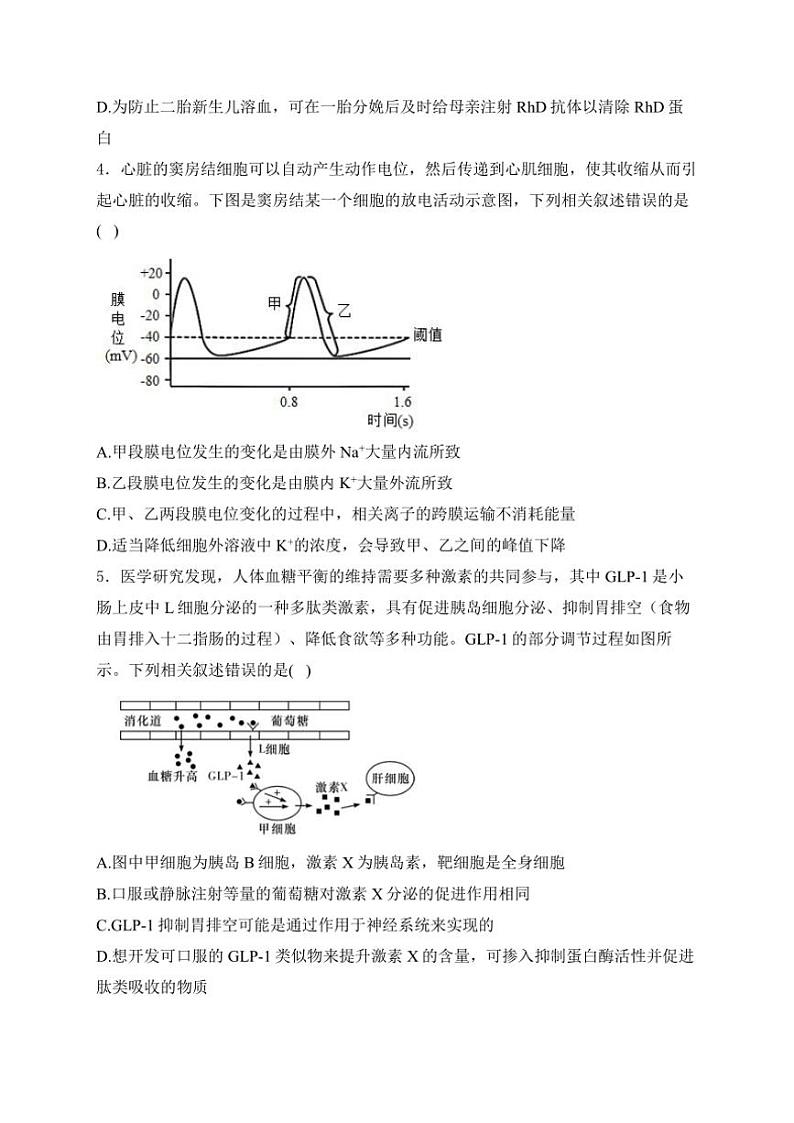 山东省泰安市肥城市肥城海亮外国语学校2024~2025学年高二(上)期中检测生物试卷(含解析)第2页