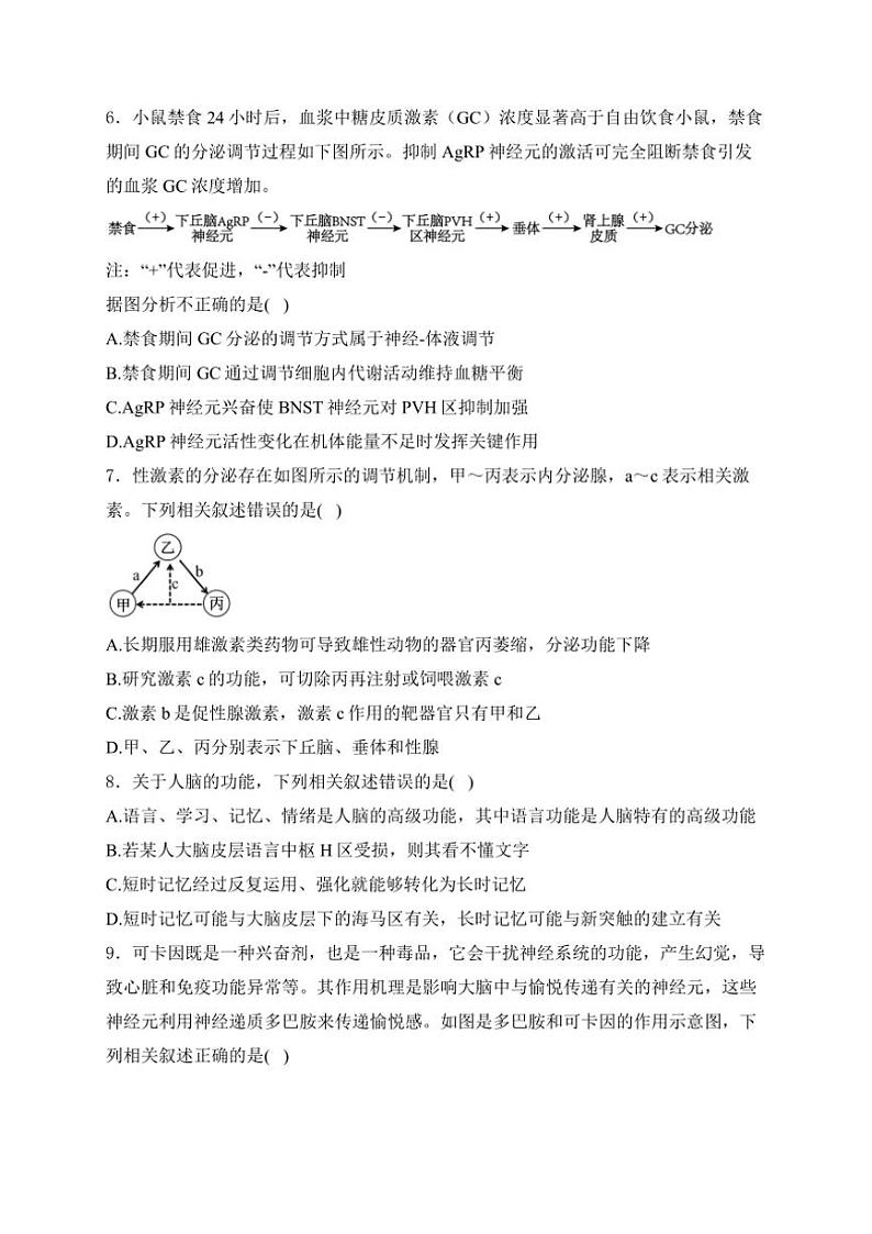 山东省泰安市肥城市肥城海亮外国语学校2024~2025学年高二(上)期中检测生物试卷(含解析)第3页