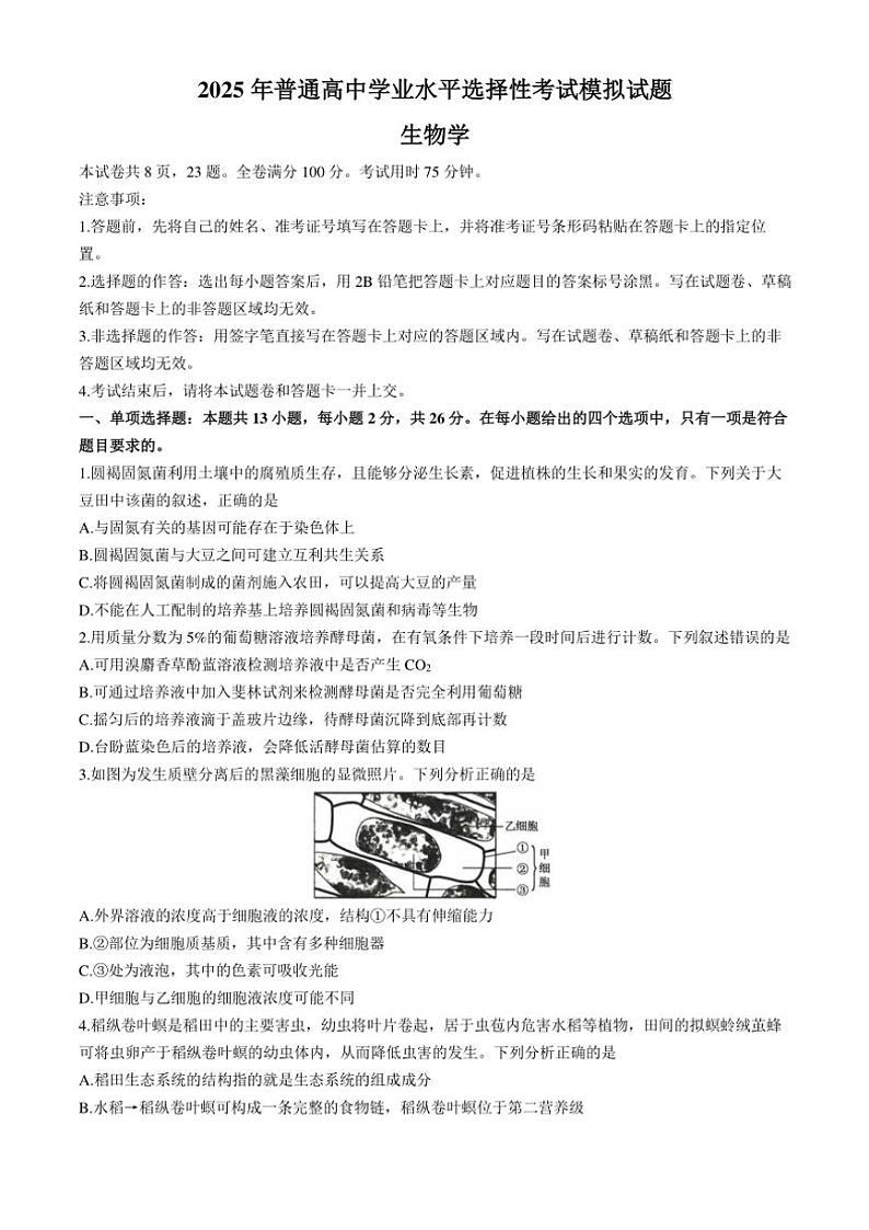河北省沧州市运东五校2024~2025学年高三(上)期中生物模拟试卷(含解析)第1页