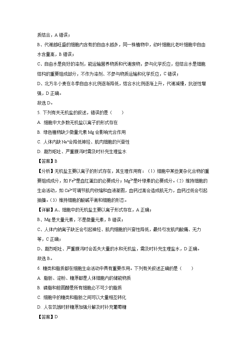 江苏省泰州市泰兴市2024-2025学年高一上学期期中考试生物试卷(解析版)03