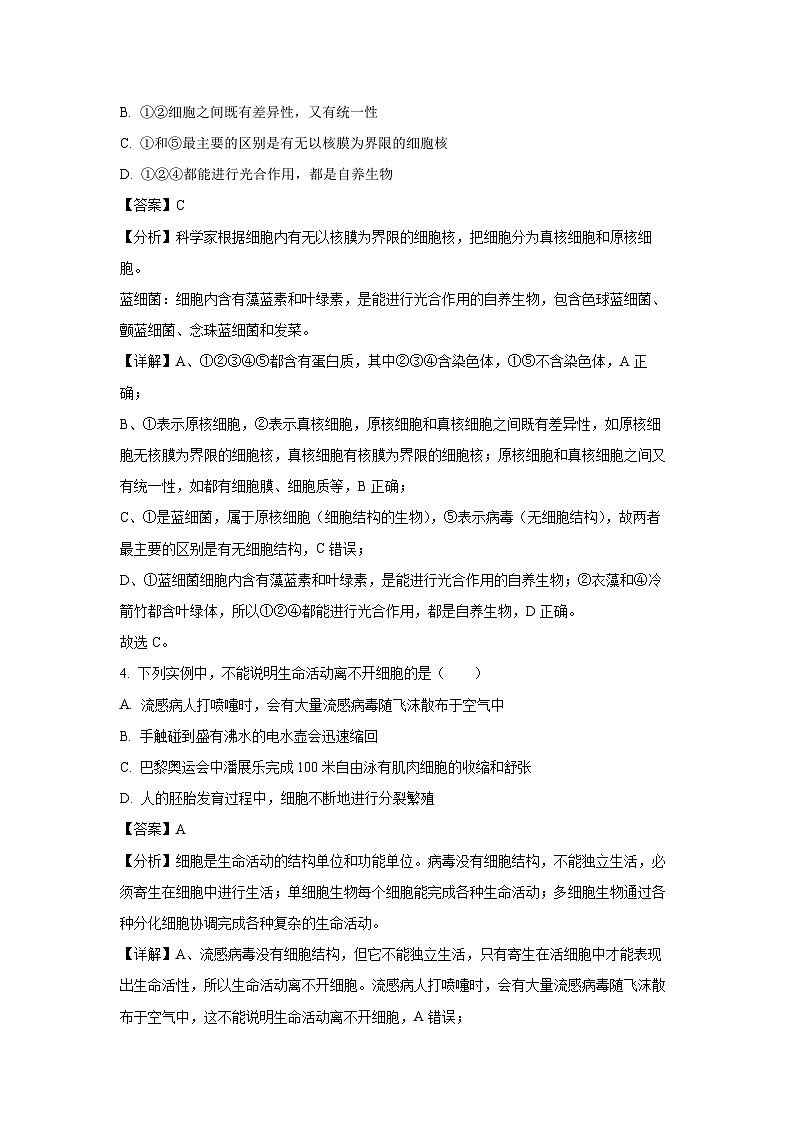 广东省佛山市S6高质量发展联盟2024-2025学年高一上学期期中联考生物试卷(解析版)第3页