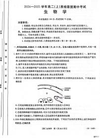 河北省邢台市质检联盟2024-2025学年高二上学期11月期中考试生物试卷（PDF版附答案）