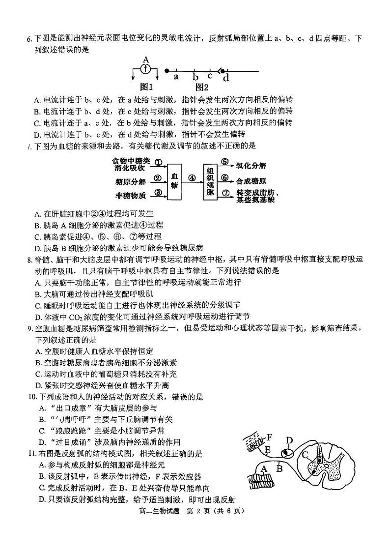 河南省驻马店市环际大联考“逐梦计划”2024-2025学年高二上学期11月期中考试生物试卷(PDF版附解析)第2页