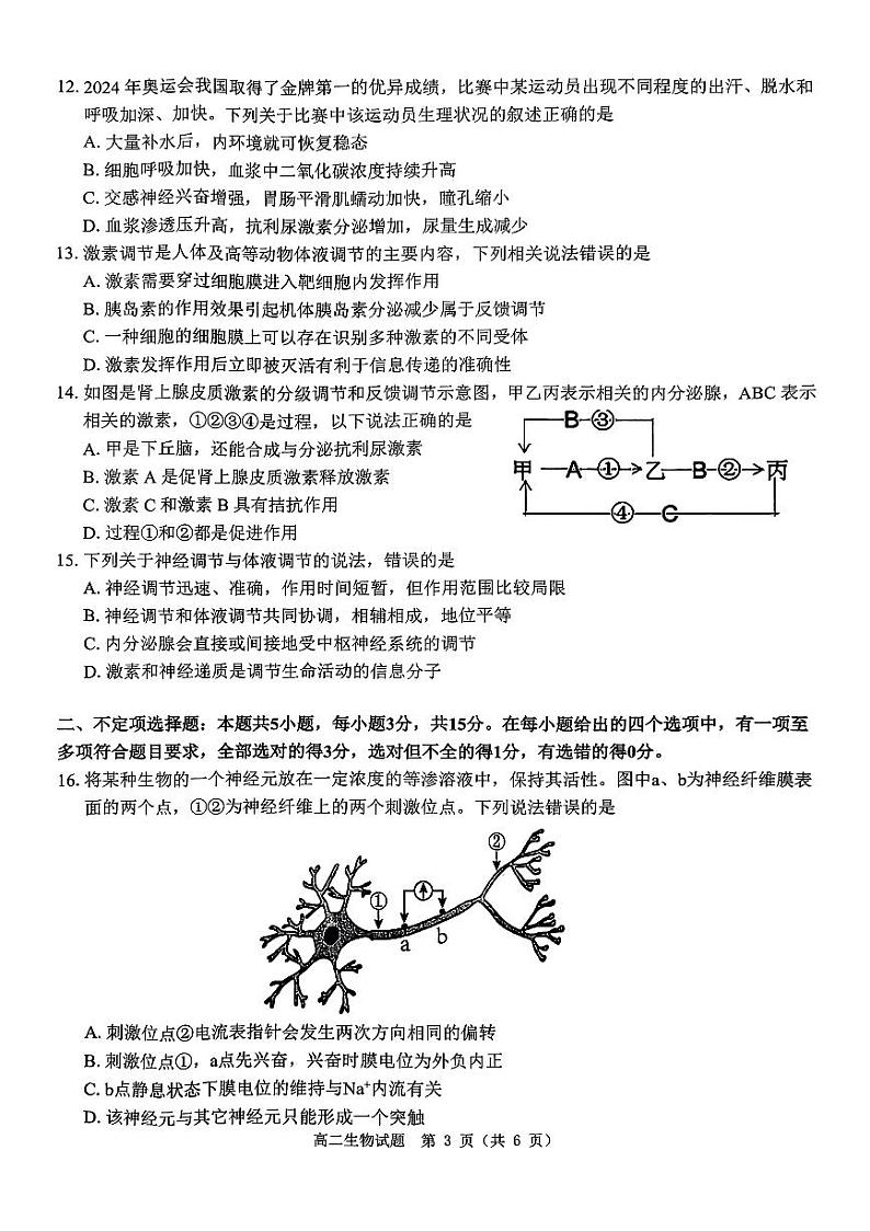 河南省驻马店市环际大联考“逐梦计划”2024-2025学年高二上学期11月期中考试生物试卷(PDF版附解析)第3页