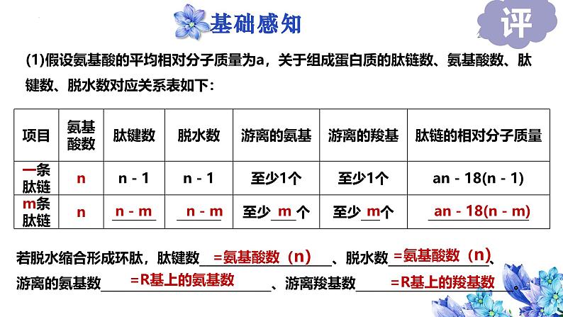 2025届高三一轮复习生物:生命活动的主要承担者——蛋白质课件第4页