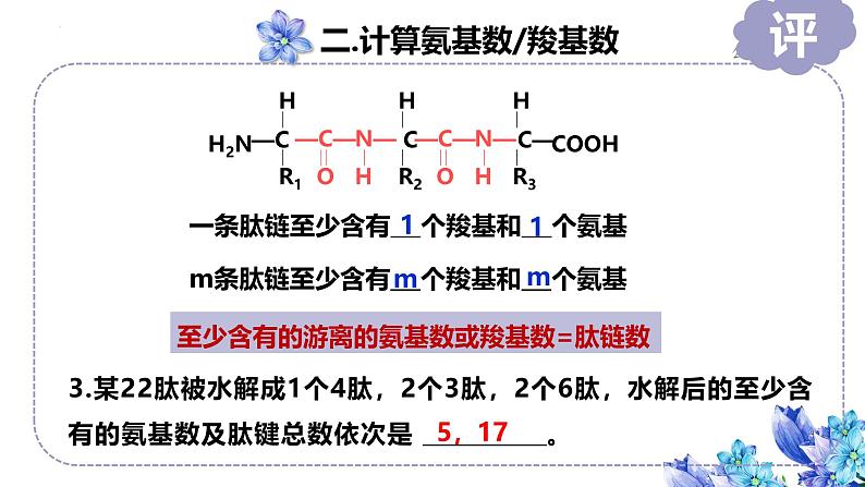 2025届高三一轮复习生物:生命活动的主要承担者——蛋白质课件第7页
