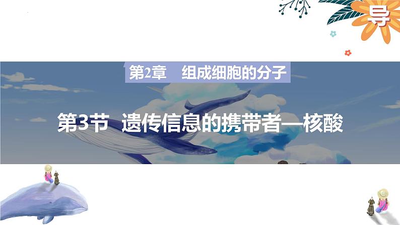 2025届高三一轮复习生物:遗传信息的携带者—核酸课件第3页