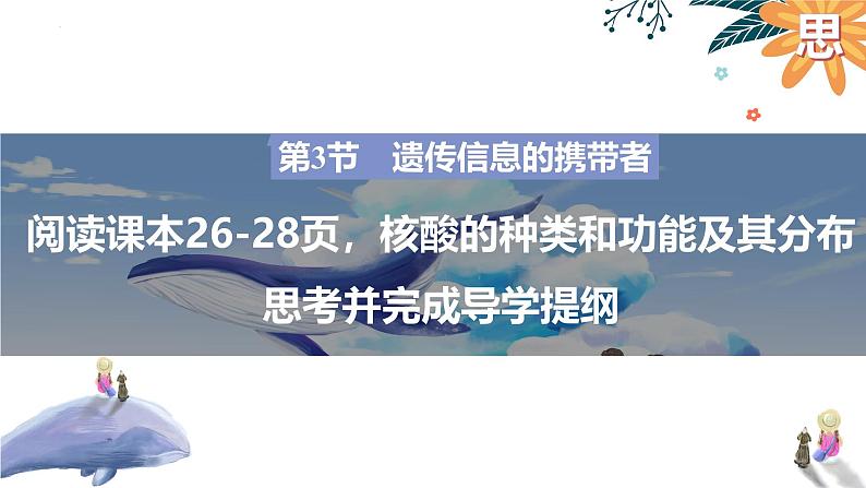 2025届高三一轮复习生物:遗传信息的携带者—核酸课件第4页
