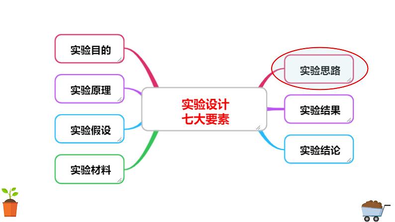 2025届高三生物一轮复习课件生物实验设计专题突破第2页