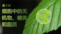 2025届高三生物一轮复习课件第2讲：细胞中的无机物、糖类和脂质