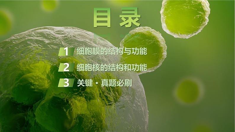 2025届高三生物一轮复习课件第5讲:细胞膜与细胞核第2页