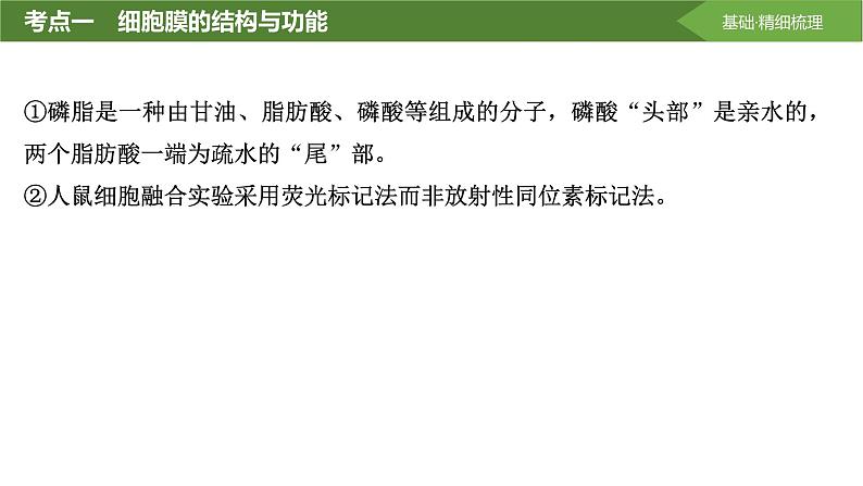 2025届高三生物一轮复习课件第5讲:细胞膜与细胞核第6页
