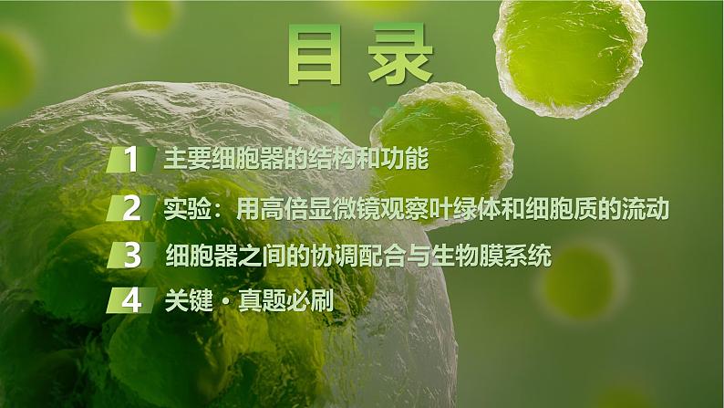 2025届高三生物一轮复习课件第6讲:细胞器之间的分工合作第2页