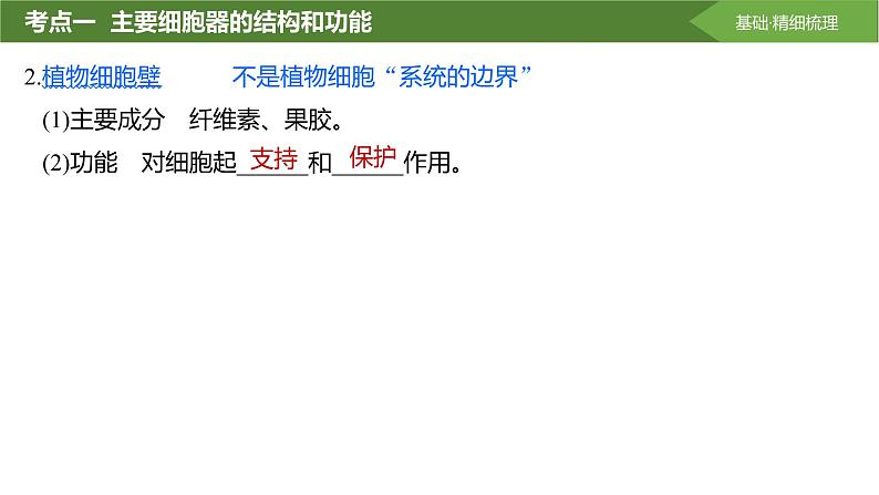 2025届高三生物一轮复习课件第6讲:细胞器之间的分工合作第5页
