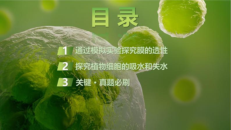2025届高三生物一轮复习课件第7讲:水进出细胞的原理第2页