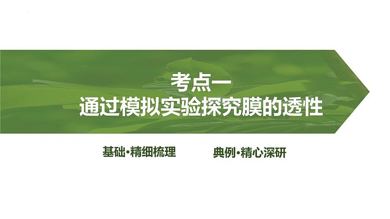 2025届高三生物一轮复习课件第7讲:水进出细胞的原理第3页