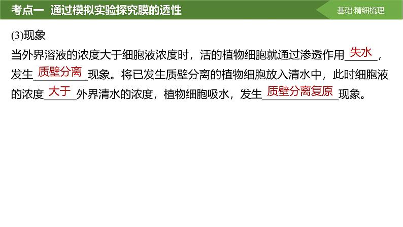 2025届高三生物一轮复习课件第7讲:水进出细胞的原理第8页