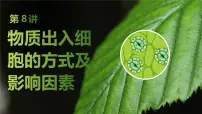 2025届高三生物一轮复习课件第8讲：物质出入细胞的方式及影响因素