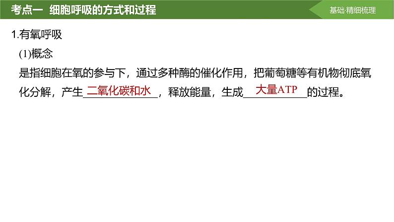 2025届高三生物一轮复习课件第11讲:细胞呼吸的方式和过程04